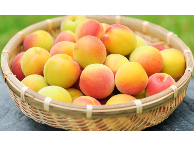 ume