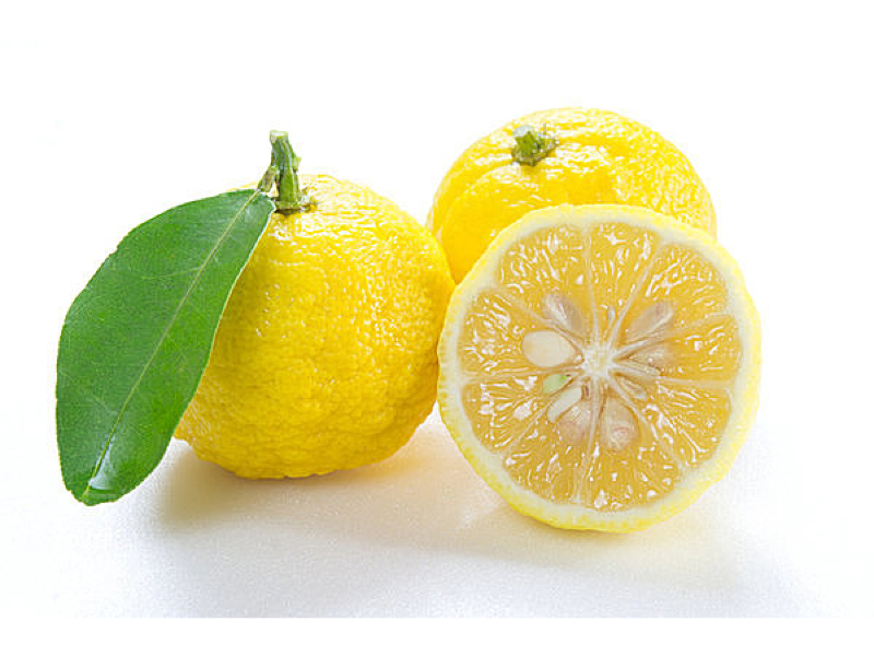 yuzu